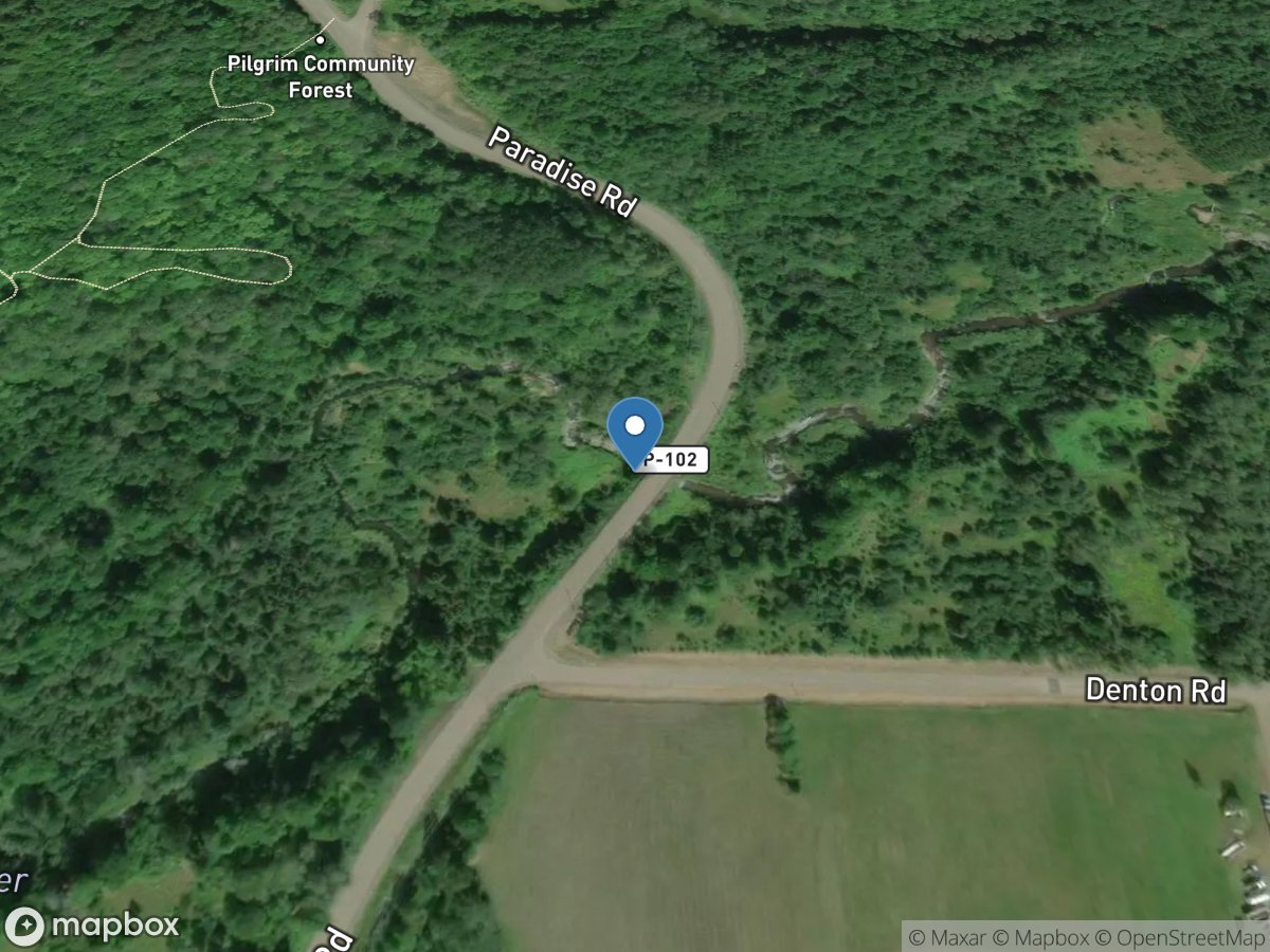 Pilgrim River at Paradise Road near Dodgeville, MI location