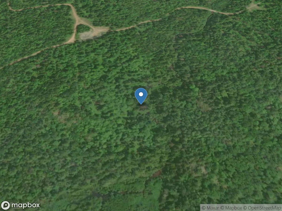 East Branch Salmon Trout River near Dodge City, MI location