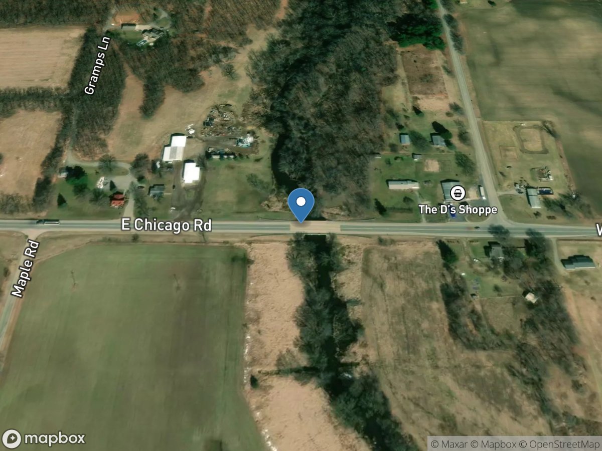 South Branch Hog Creek near Allen, MI location