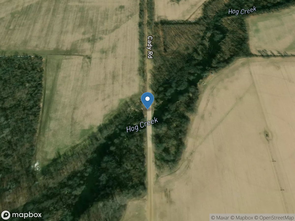 Hog Creek at Cady Road at Hodunk, MI location