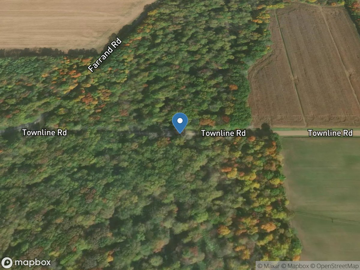 Swan Creek at Townline Road near Burr Oak, MI location