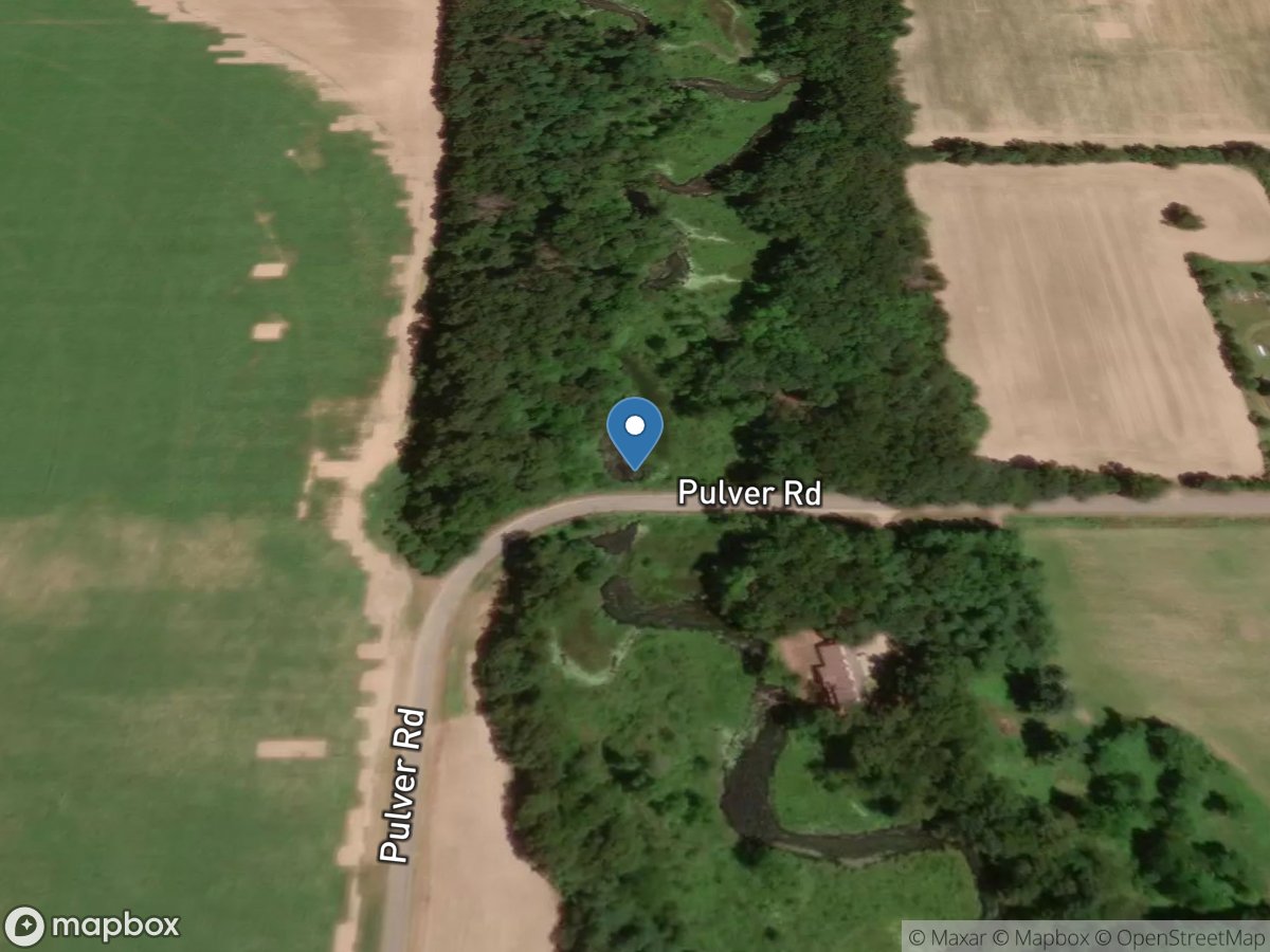 Flowerfield Creek at Pulver Road near Flowerfield, MI location