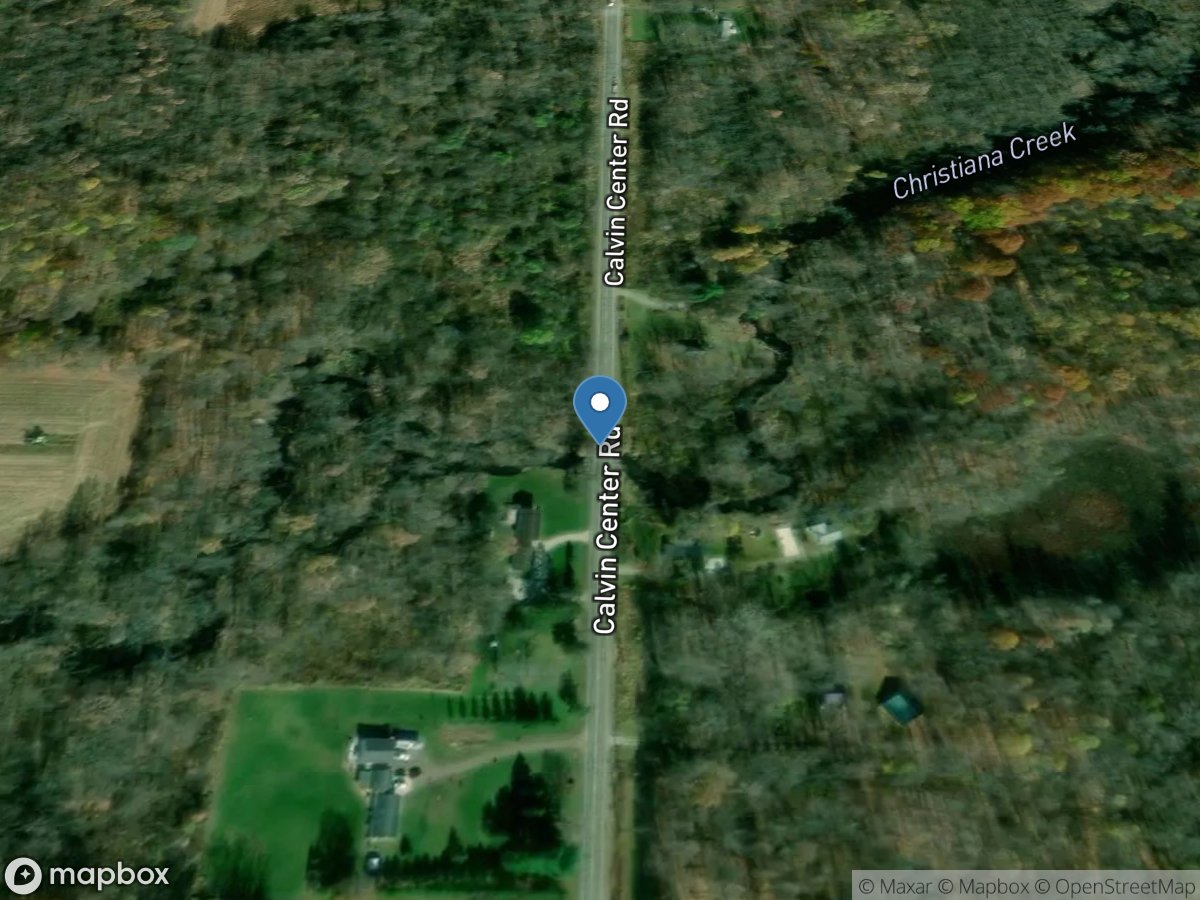 Christiana Creek at Calvin Ctr Road near Vandalia, MI location