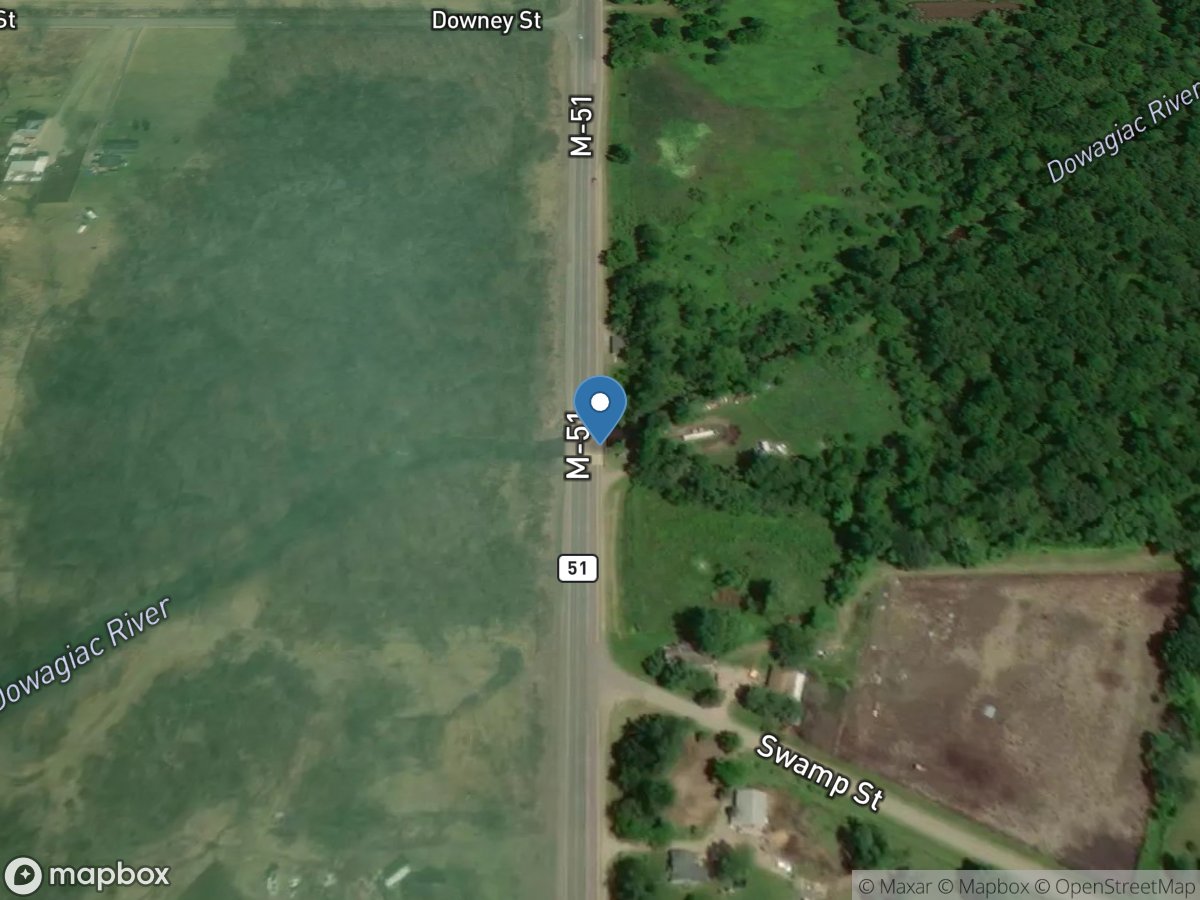 Dowagiac River at State Highway 51 near Dowagiac, MI location