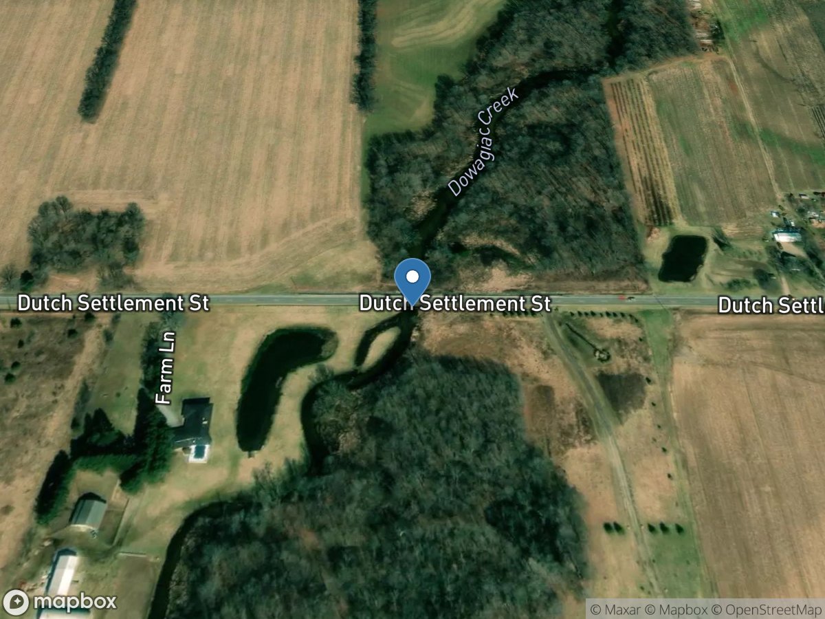 Dowagiac Creek at Dutch Settlement Road near Dowagiac, location