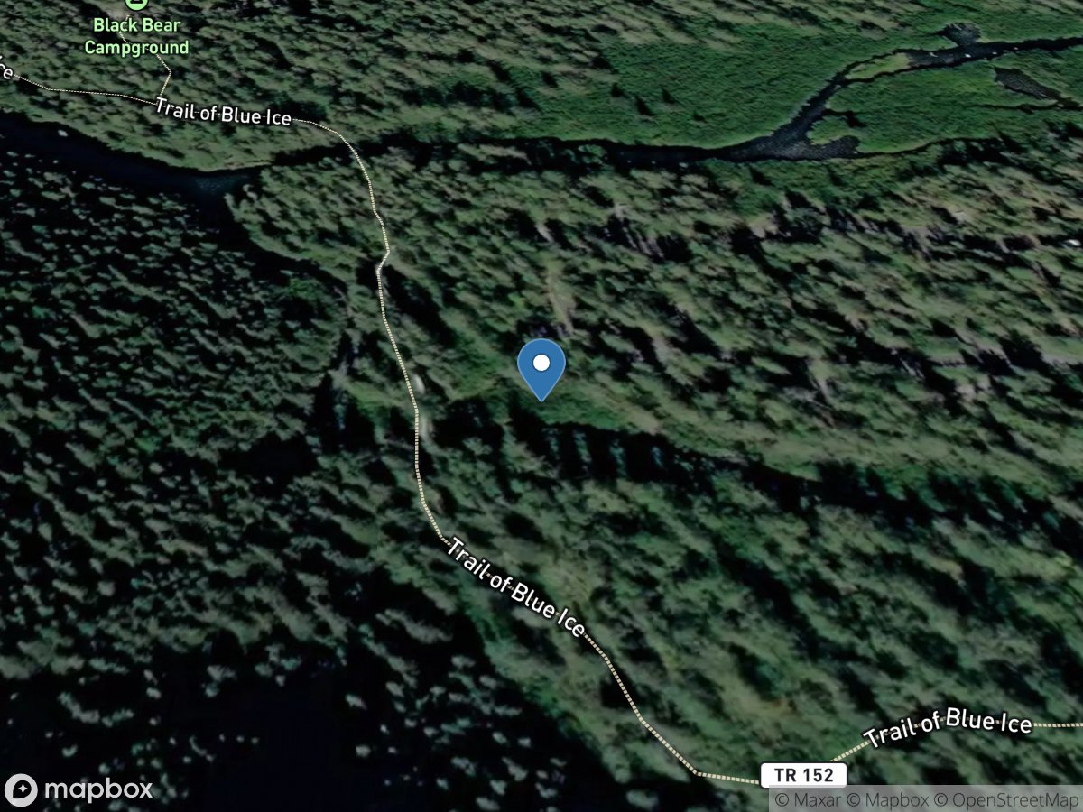 SF Williwaw Creek near Portage AK location