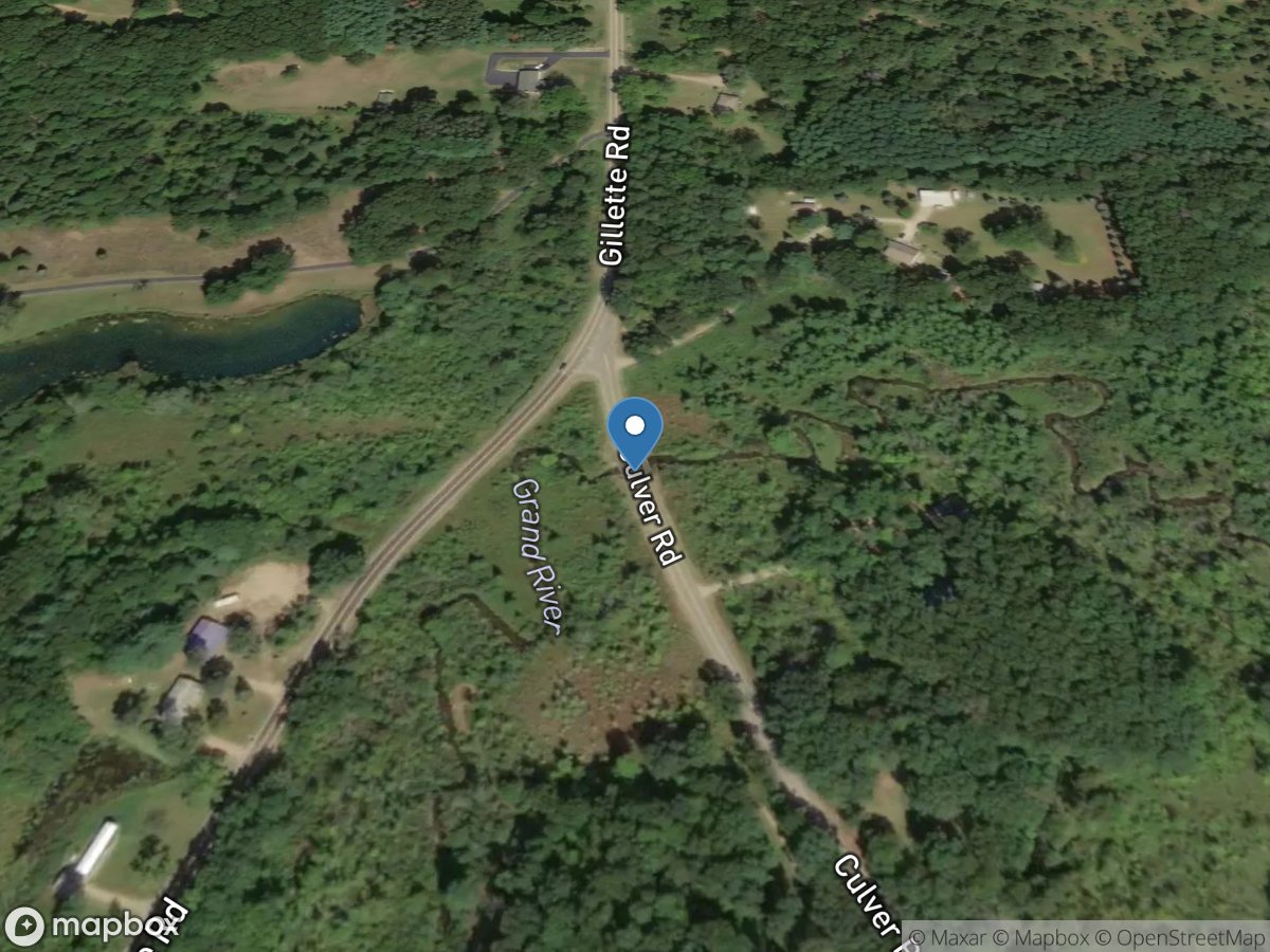 Grand River at Culver Road near Liberty, MI location