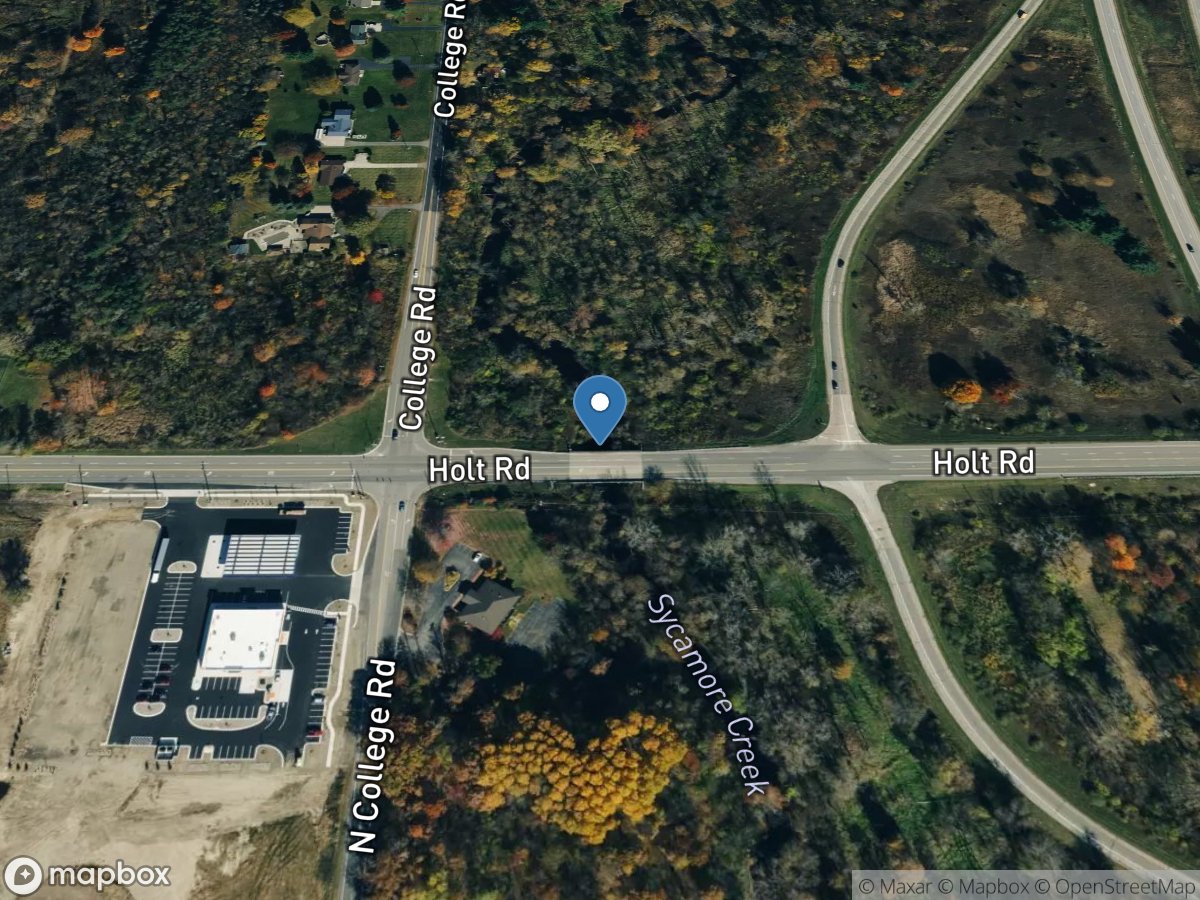 Sycamore Creek at Holt Road near Holt, MI location