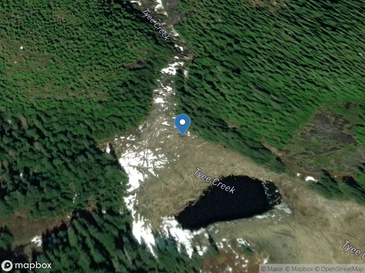 Tyee Lake Outlet near Wrangell AK location