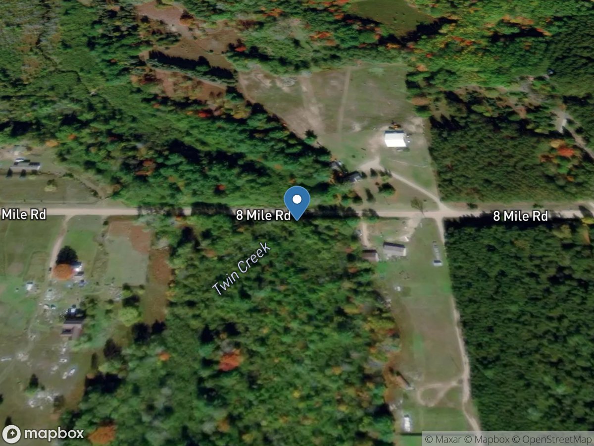 Twin Creek at Eight Mile Road near Evart, MI location