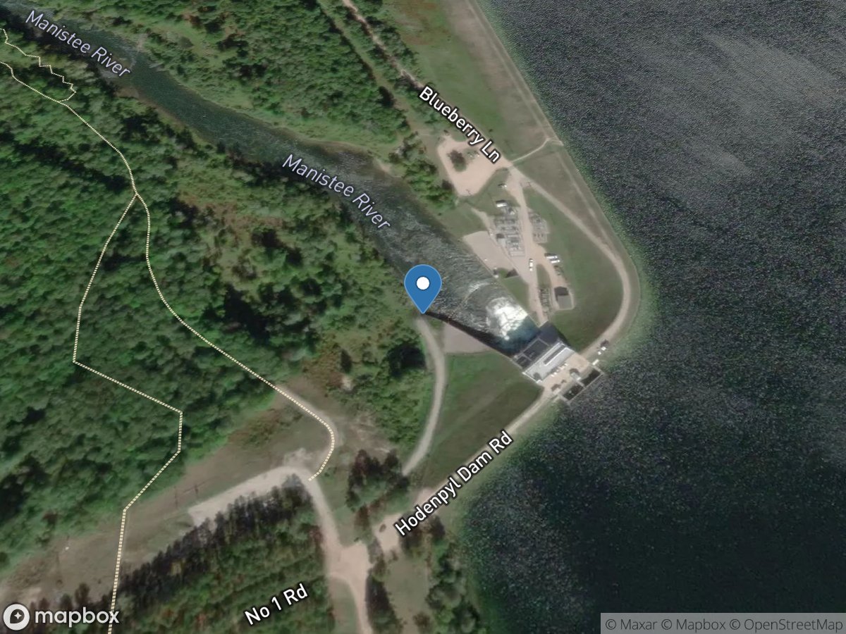 Manistee River near Mesick, MI location