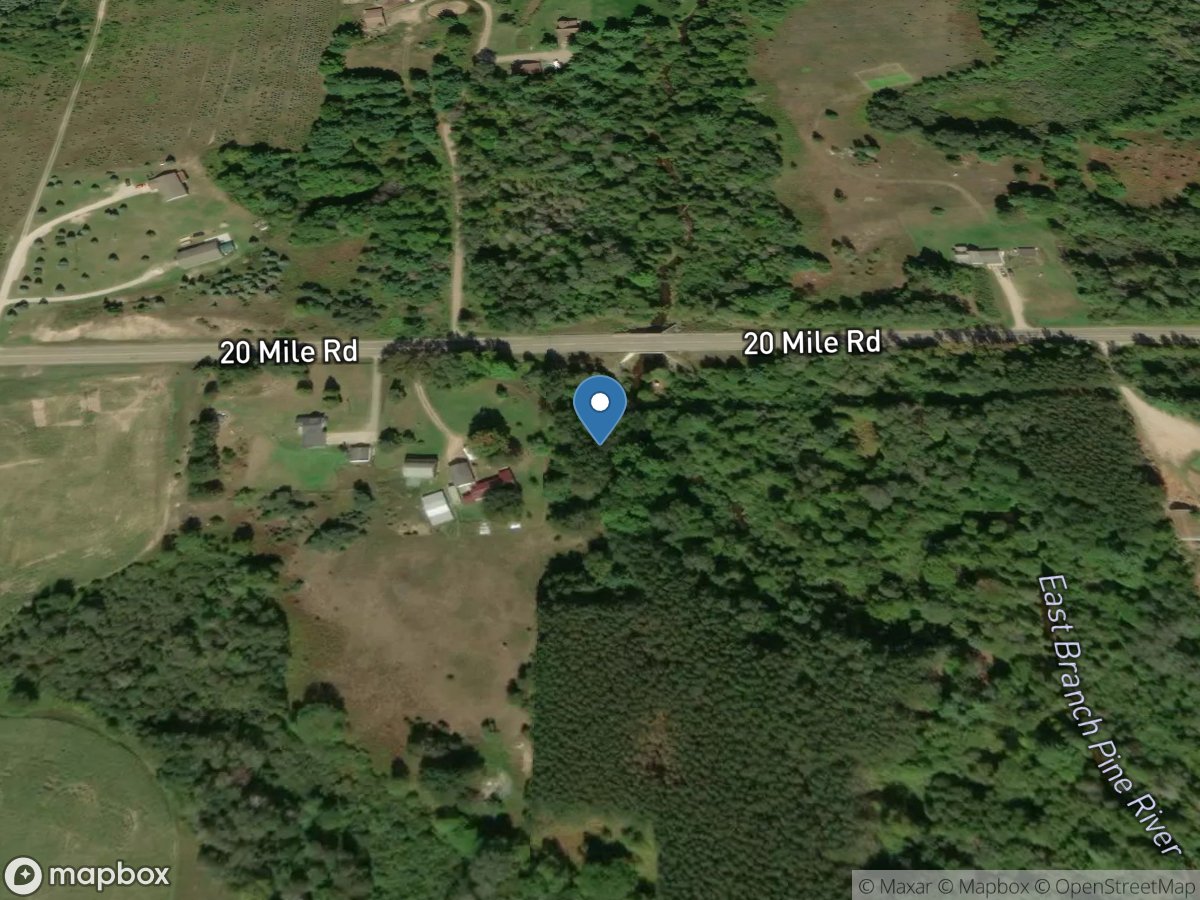 East Branch Pine River near Tustin, MI location