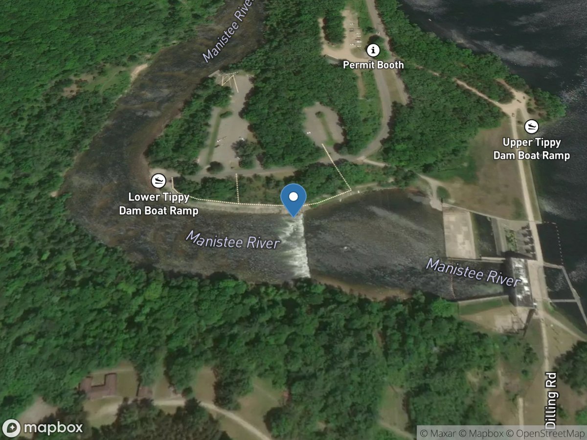 Manistee River near Wellston, MI location