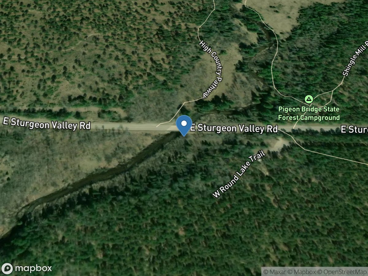 Pigeon River near Vanderbilt, MI location