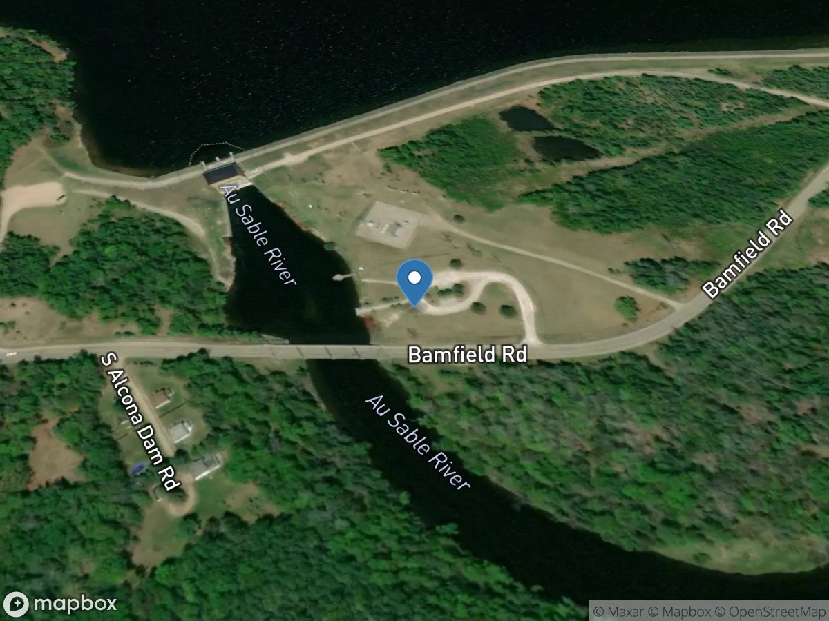 Au Sable River near Curtisville, MI location