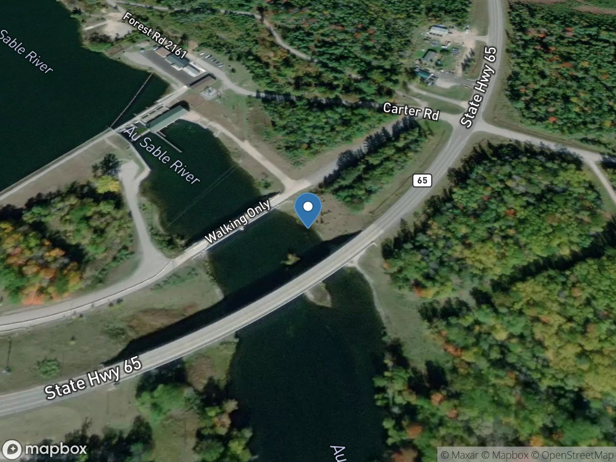 Au Sable River near Glennie, MI location