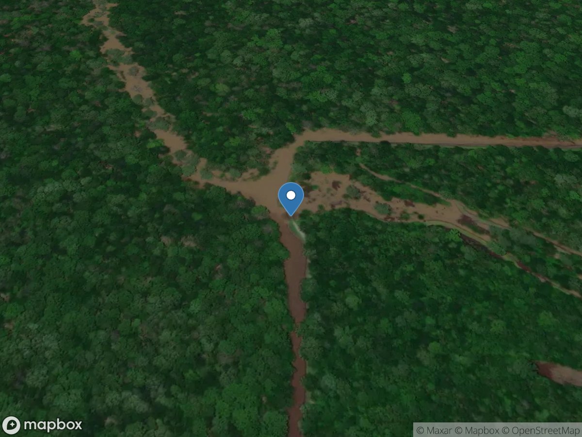 Lwr Vallier(LgPondSlough)HW/TW near New Gascony, AR location