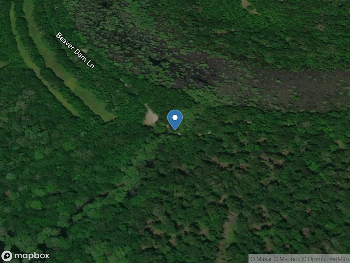Beaver Dam Slough HW near Lodge Corner, AR location