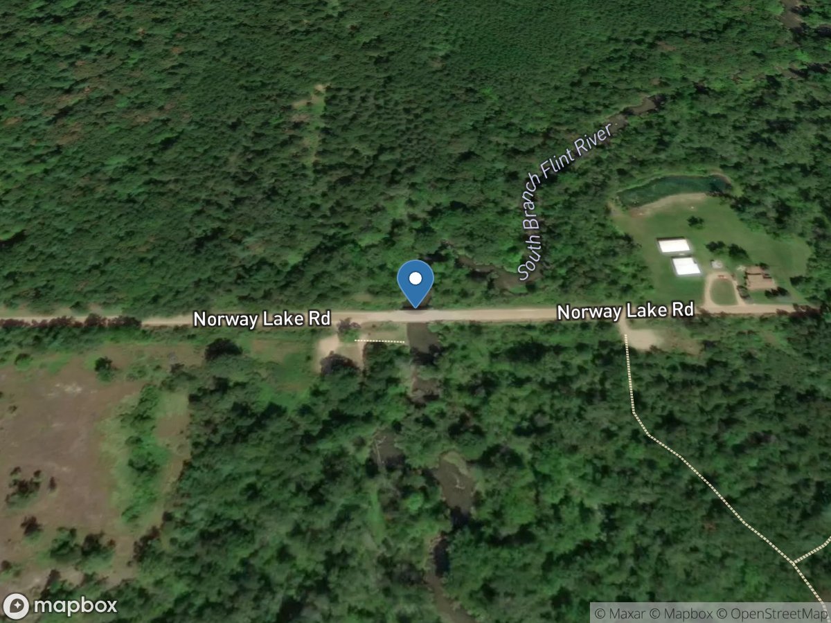 S Branch FLINT River At NORWAY Lake Road Near COLUMBIAVILLE, MI location