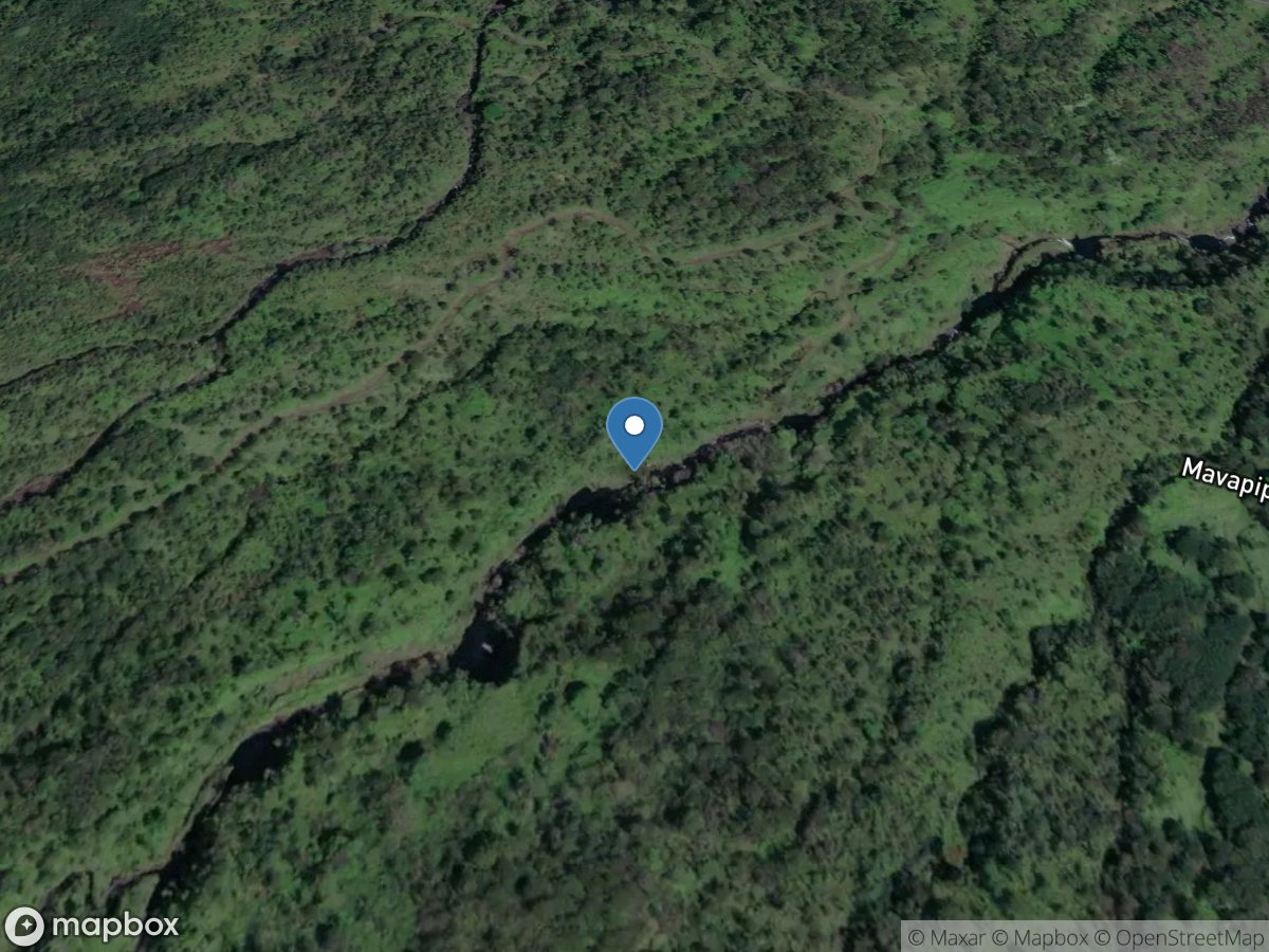 Hanawi Stream near Nahiku, Maui, HI location