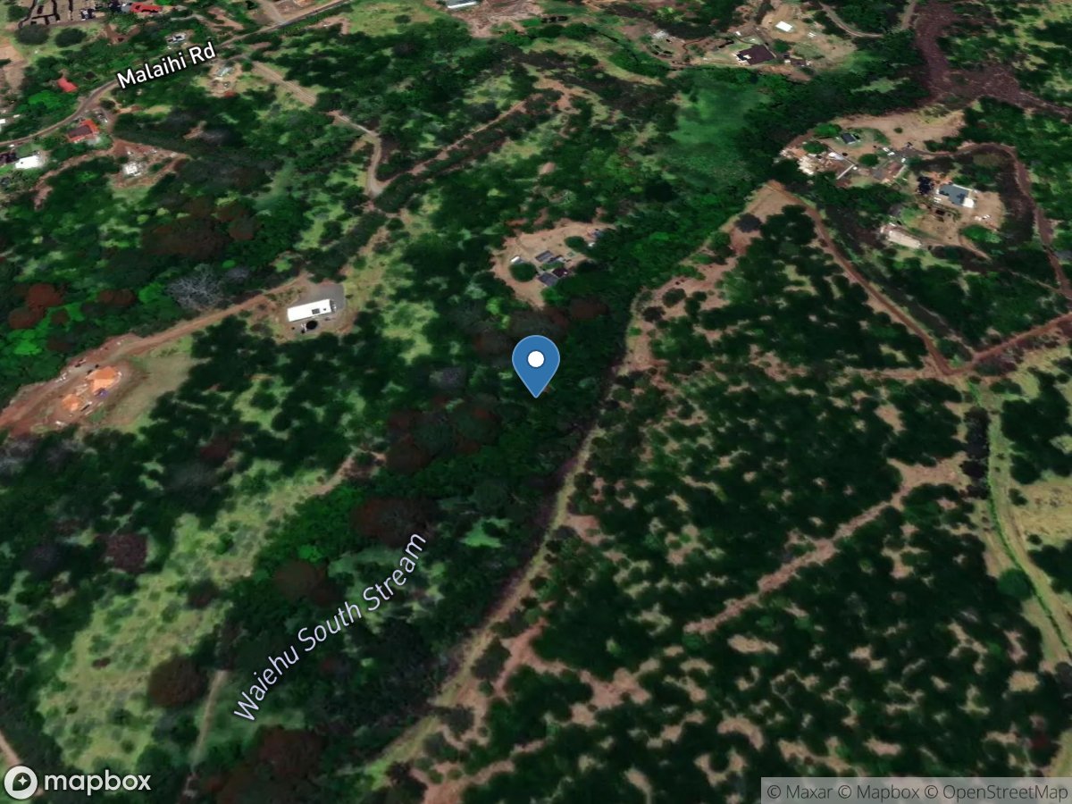 S Waiehu Str US of ditch at alt. 315 ft, Maui, HI location