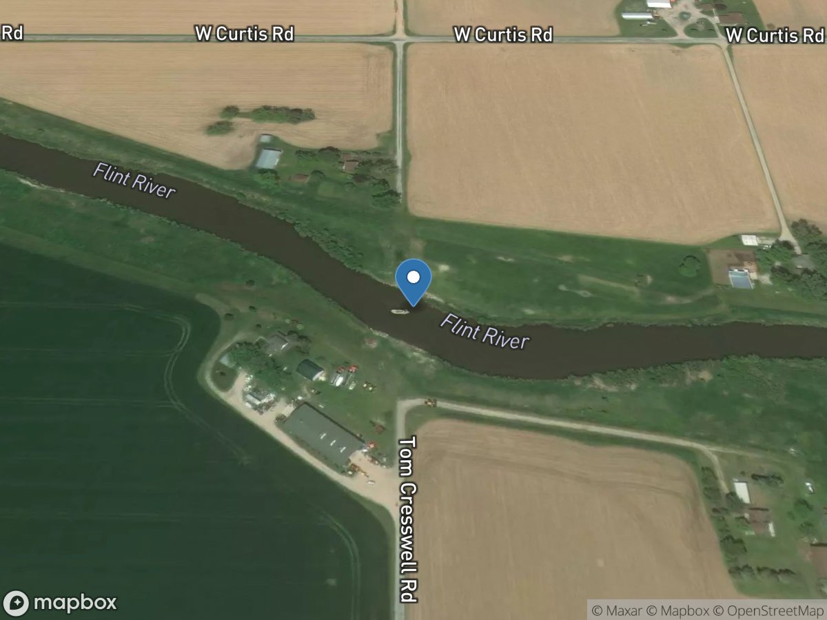 Flint River at Cresswell Road near Fosters, MI location