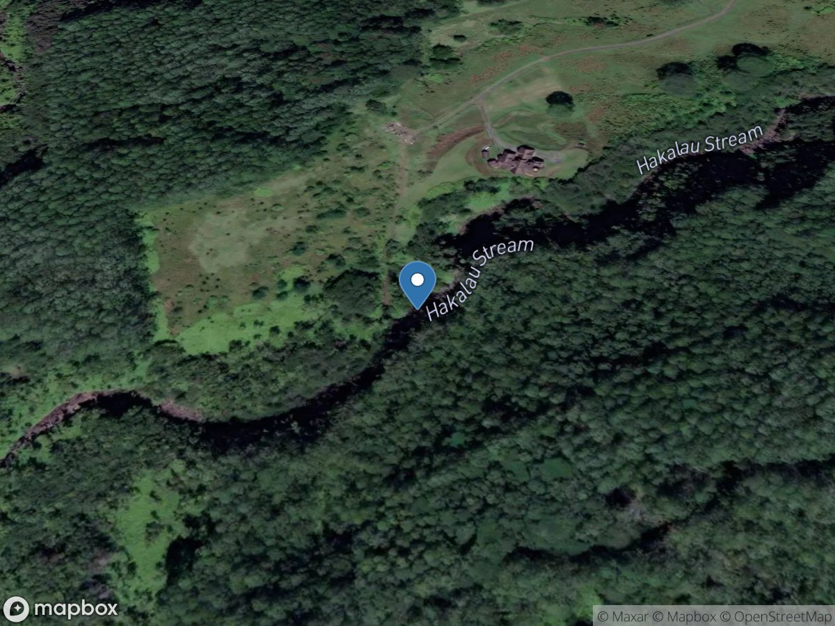 Hakalau Stream near alt 1300 ft, HI location