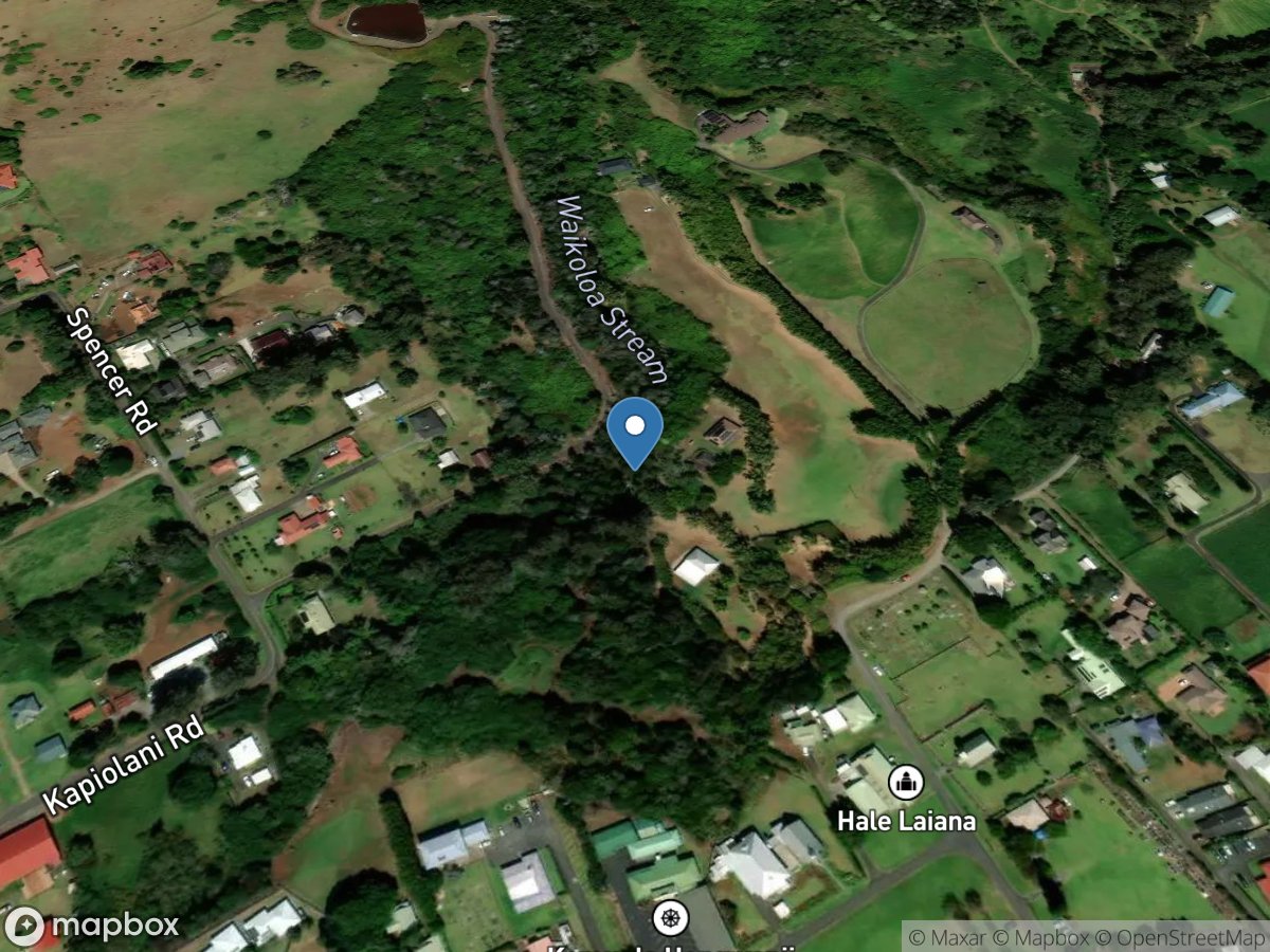 Waikoloa Str near Kapiolani Rd., Kamuela, HI location