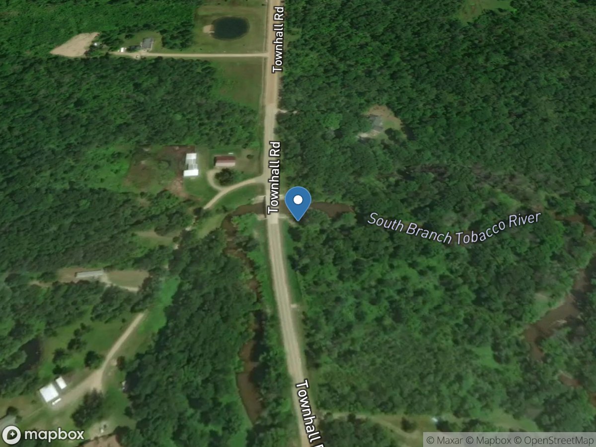 South Branch Tobacco River near Beaverton, MI location