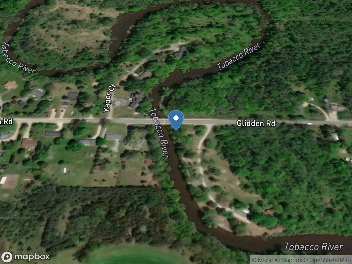 Tobacco River at Glidden Road at Beaverton, MI location