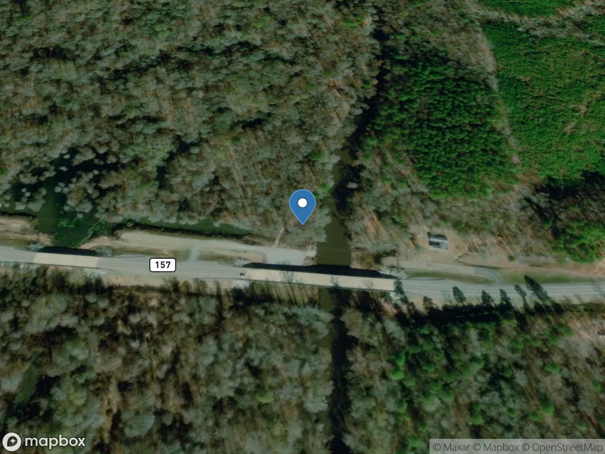 Bayou Dorcheat near Springhill, LA location