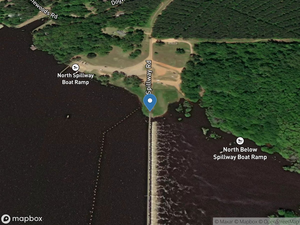 Bayou D'Arbonne Below Dam near Downsville, LA location