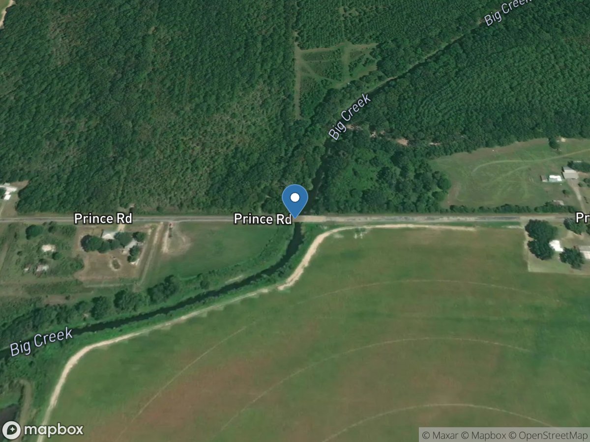 Big Colewa Bayou at Prince Road near Pioneer, LA location