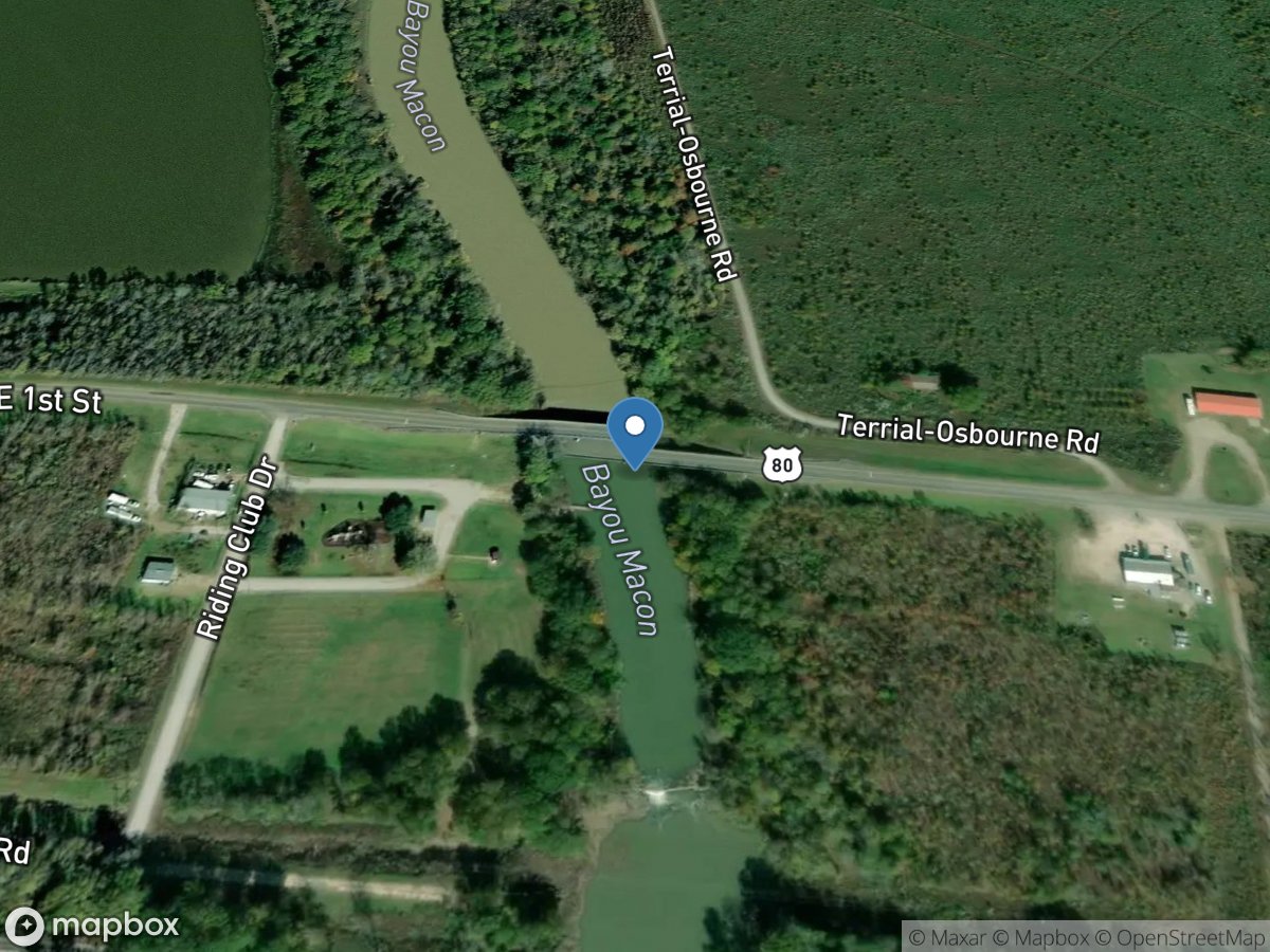 Bayou Macon near Delhi, LA location