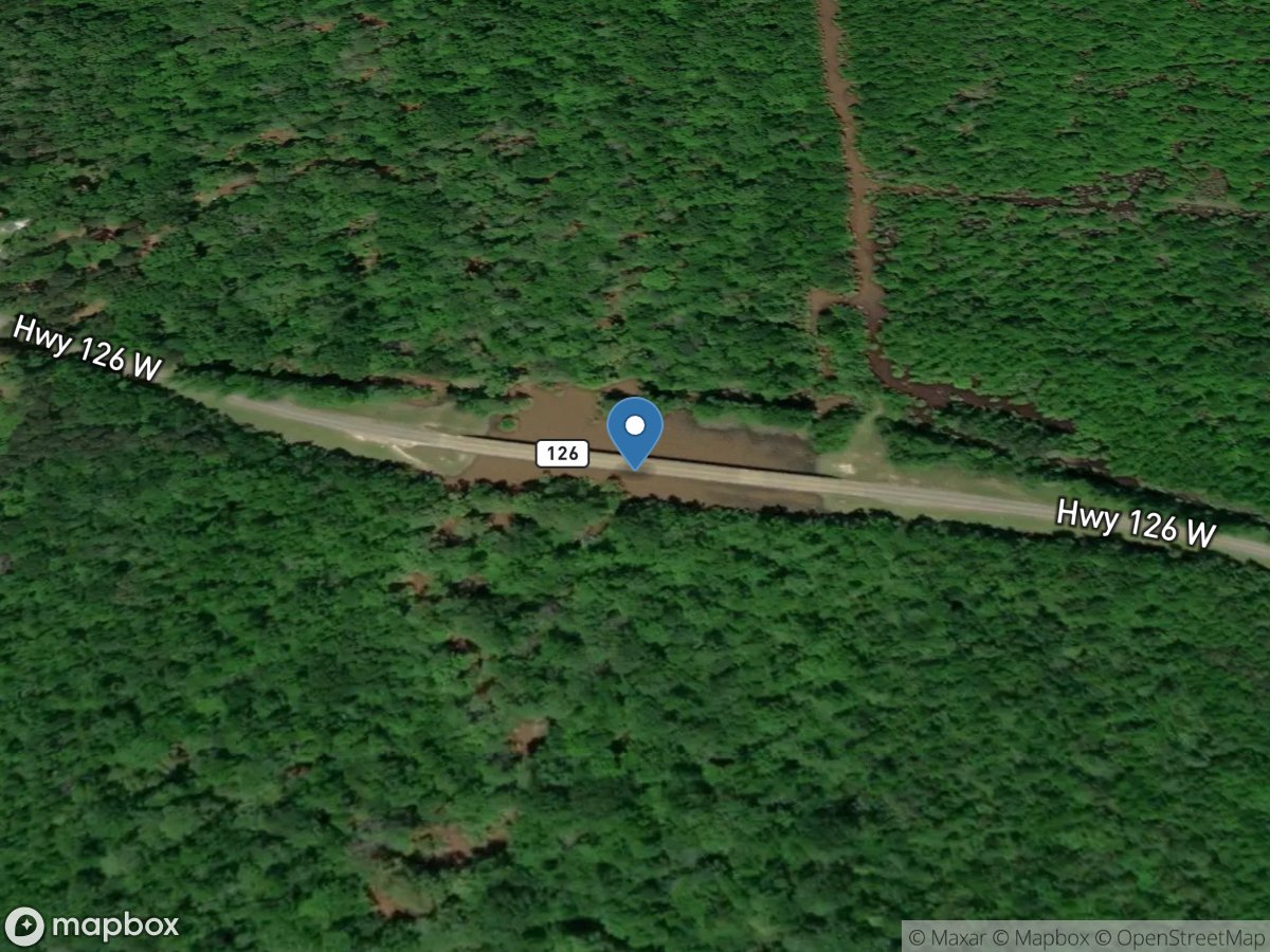 Castor Creek near Grayson, LA location