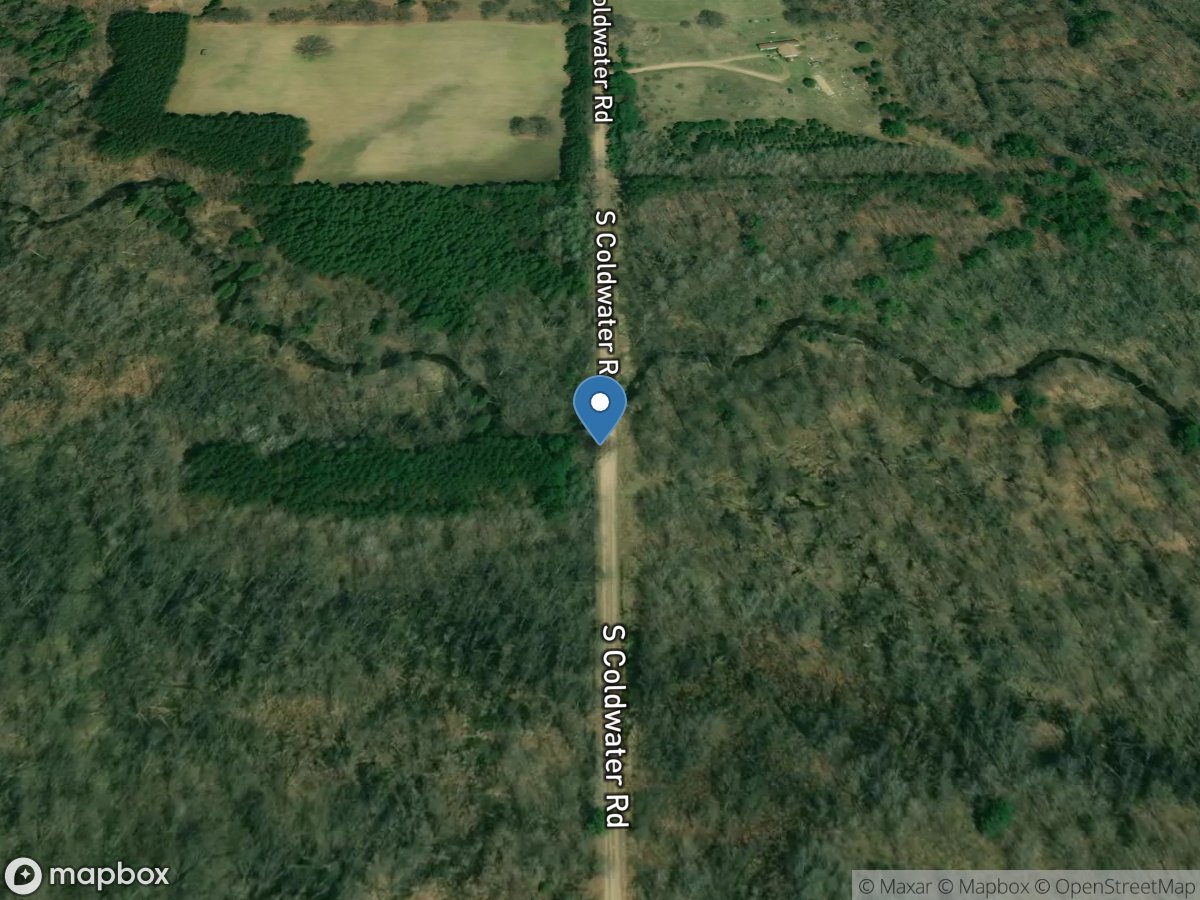 Skunk Creek at Coldwater Road near Wyman, MI location