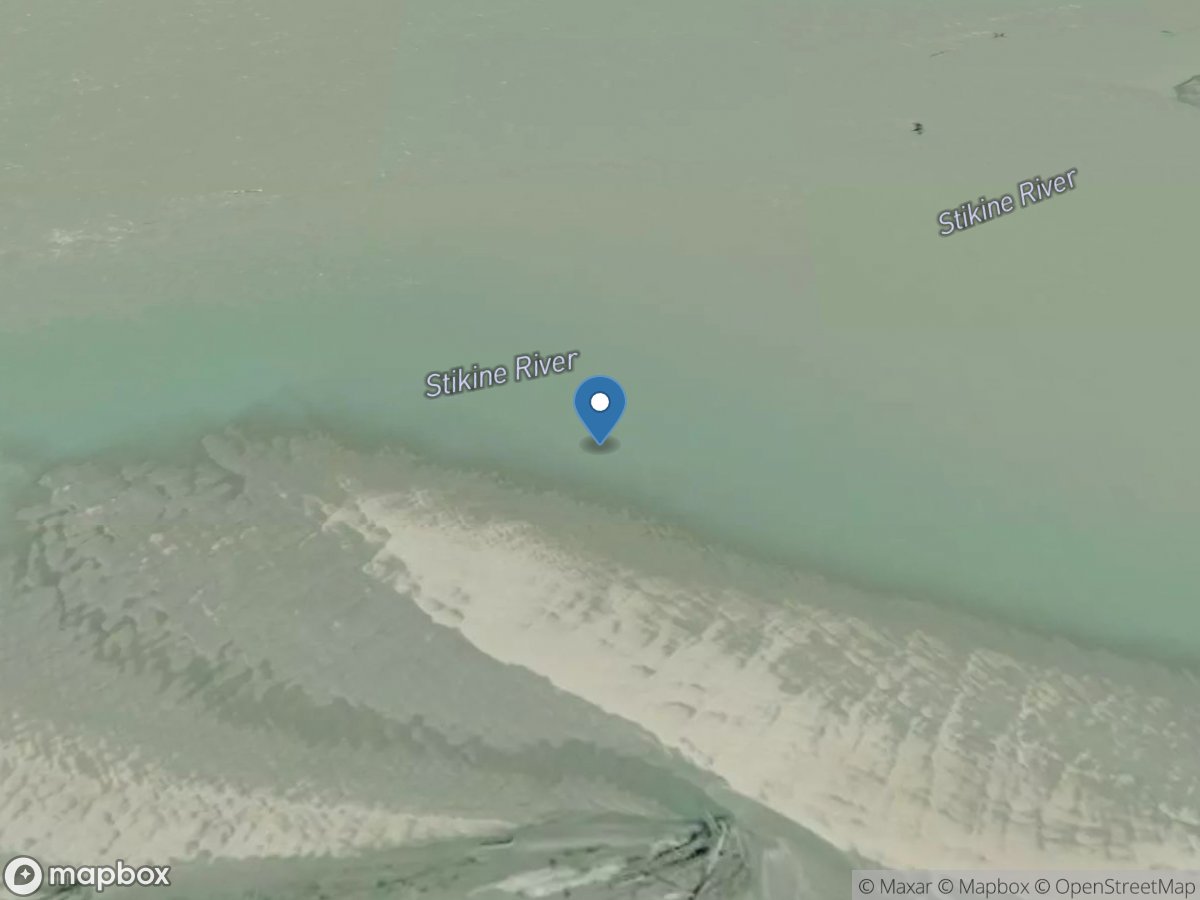 Stikine River 2 MI below US/Canada Border near Wrangell AK location