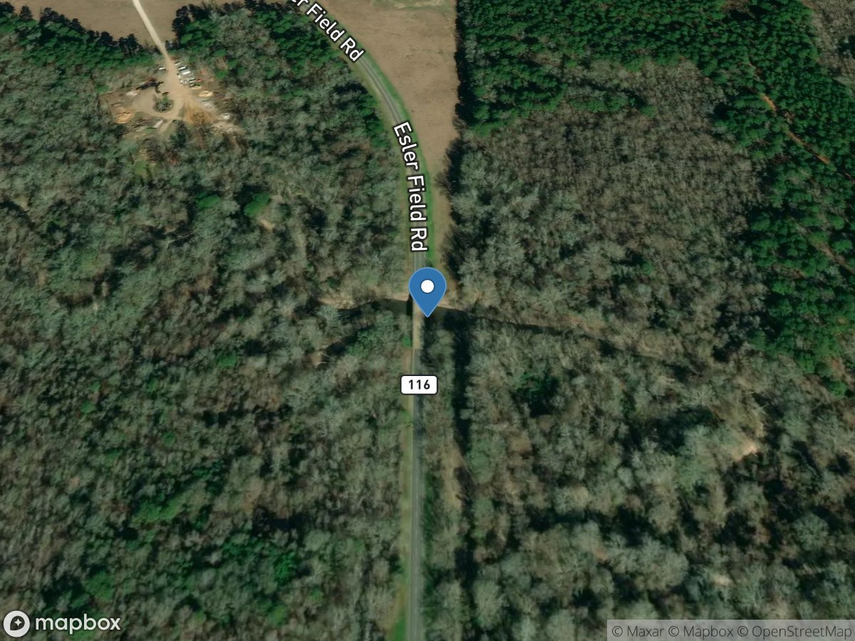 Flagon Bayou Northeast of Libuse, LA location