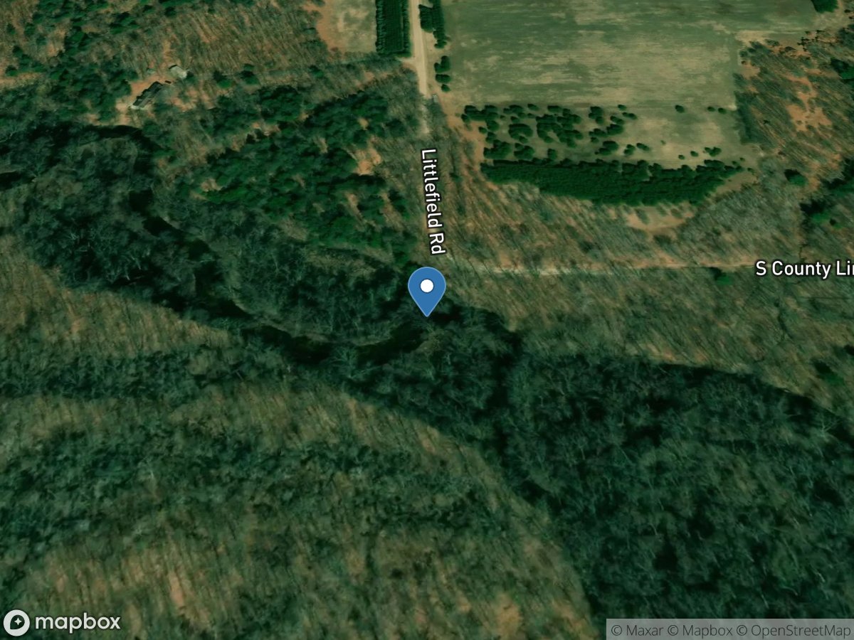 PINE River Near South ISA. CO L AND L RDS Near VESTABURG, MI location