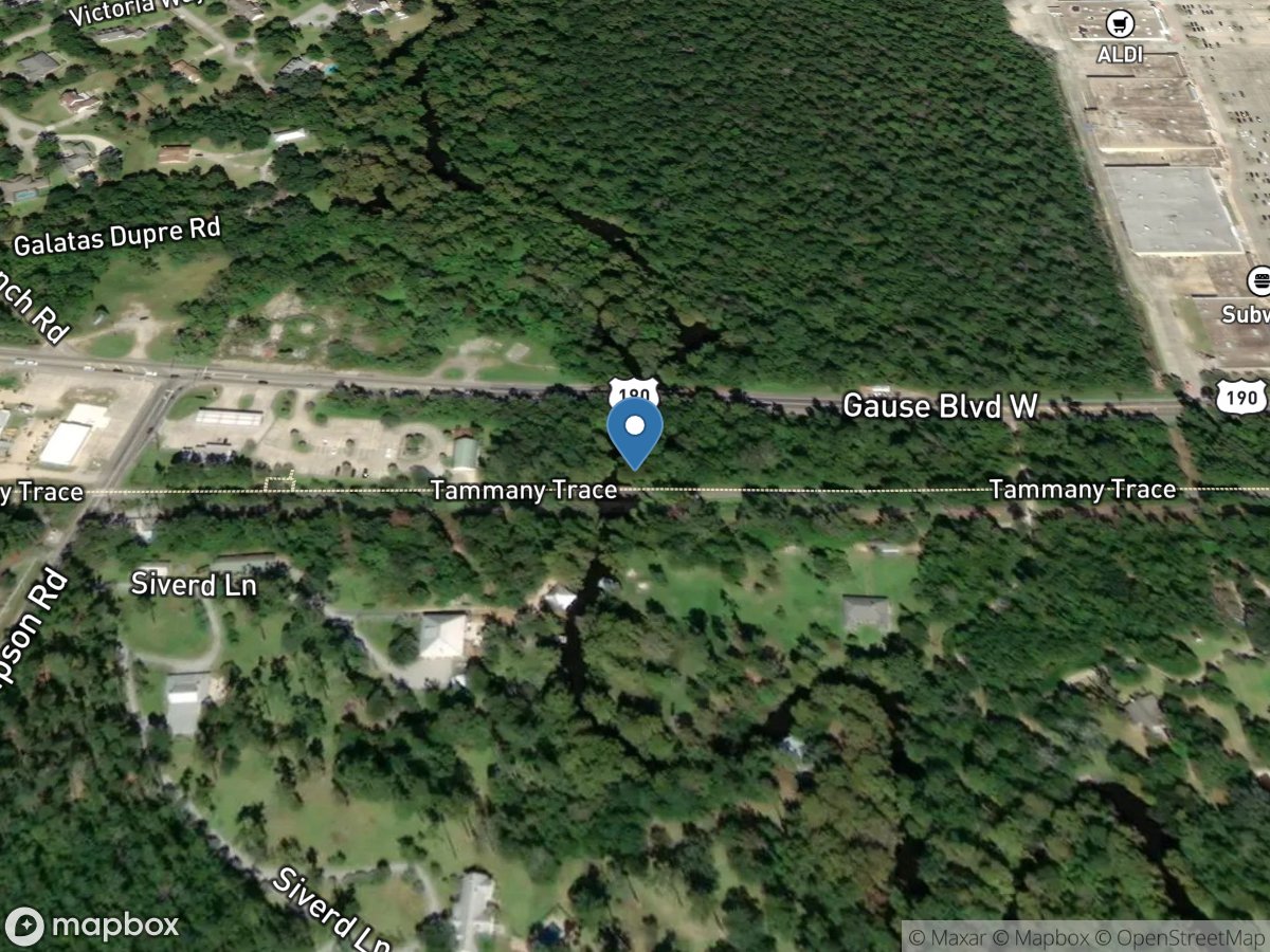 Bayou Liberty near Slidell,LA location