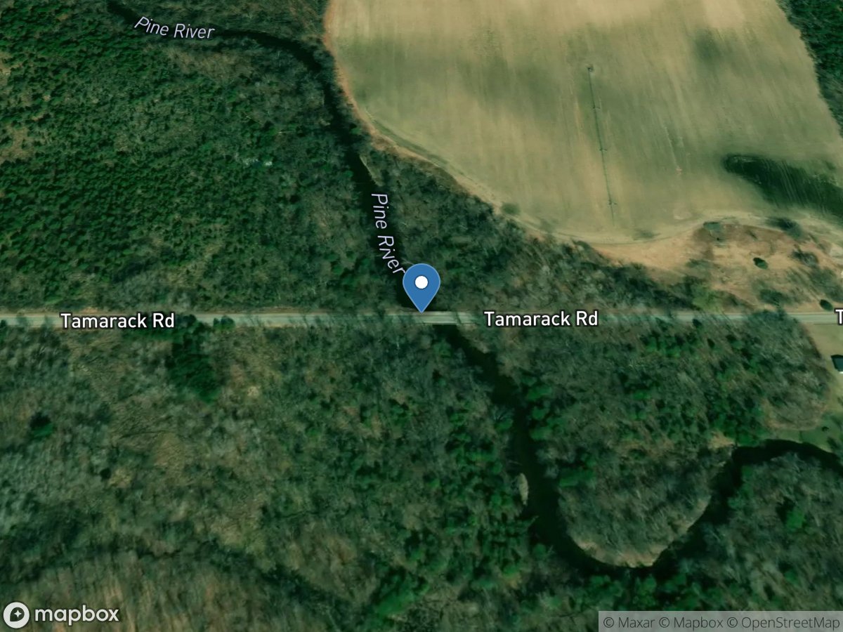Pine River at Tamarack Road near Vestaburg, MI location