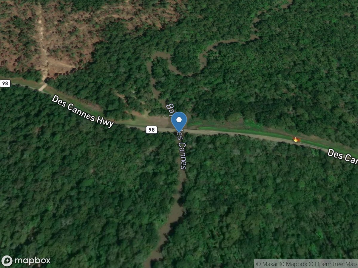 Bayou Des Cannes west of Iota, LA location