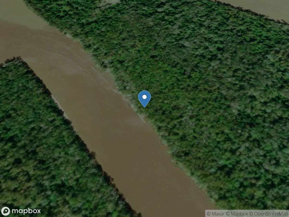 Atch Basin Distributary Chan east of Charenton, LA location