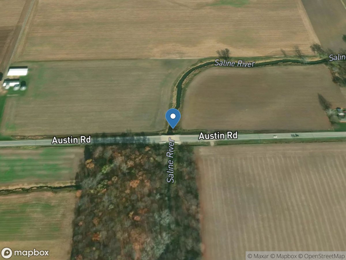 Saline River at Austin Road near Bridgewater, MI location