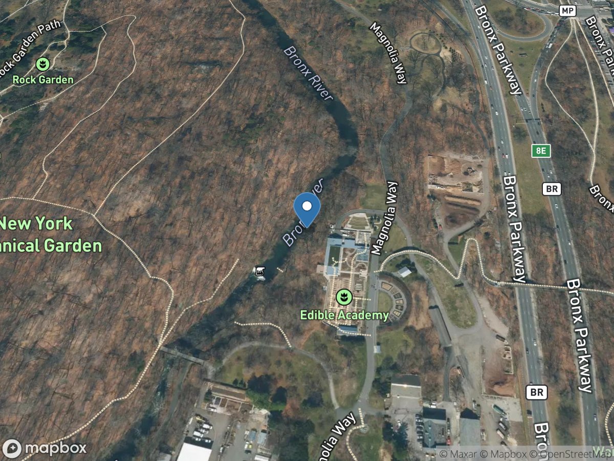 Bronx River at NY Botanical Garden at Bronx NY location