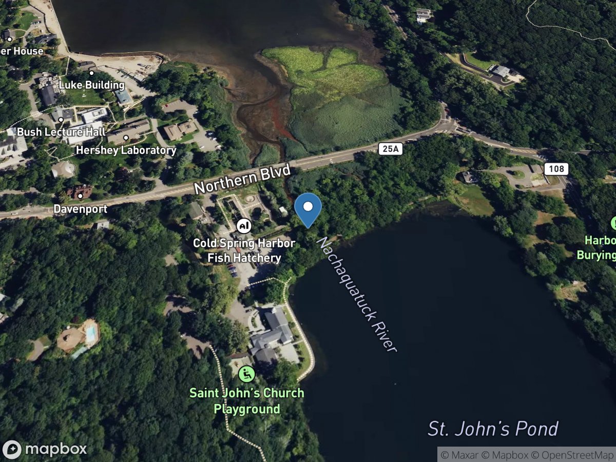 Cold Spring Brook at Cold Spring Harbor NY location