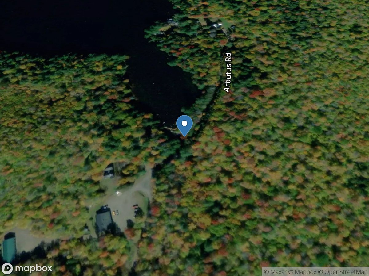 Arbutus Pond Outlet near Newcomb NY location