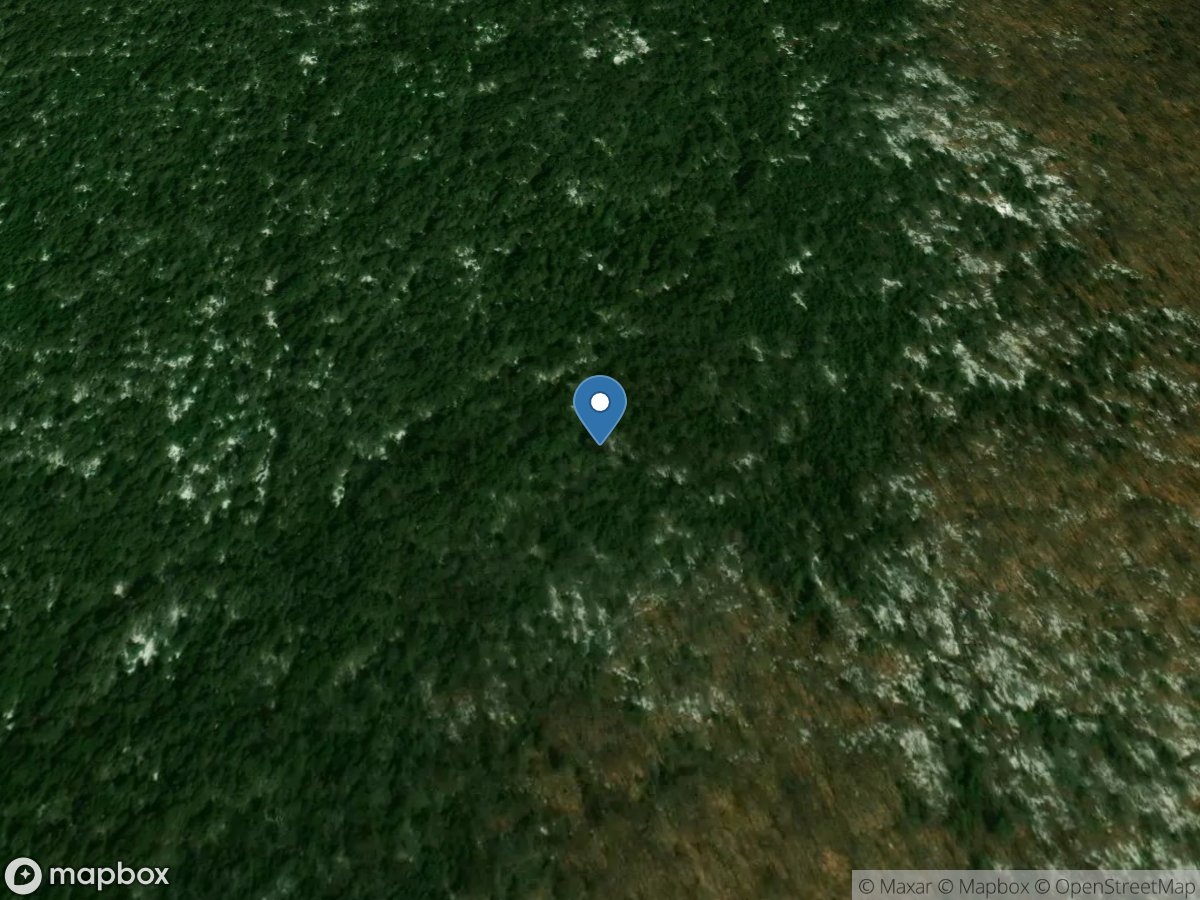 Vanderwhacker Brook Tributary 1 near Boreas River NY location