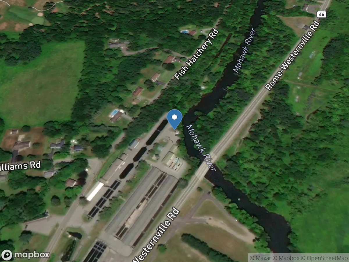 Mohawk River below Delta DAM near Rome NY location