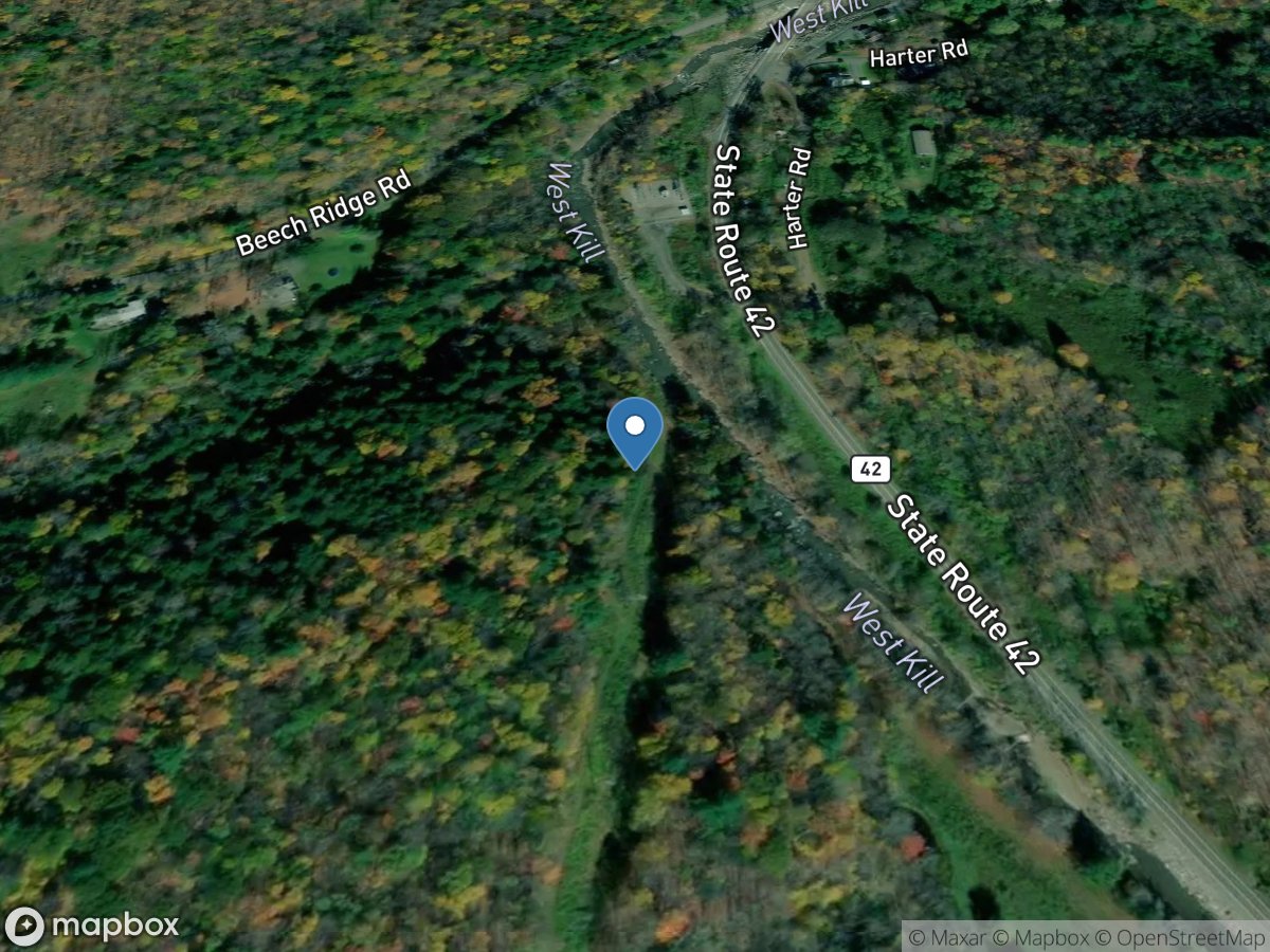 West Kill near West Kill NY location